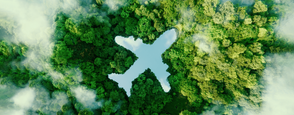 Seeing the forest for the trees: Carbon offsets and their place in airfreight logistics