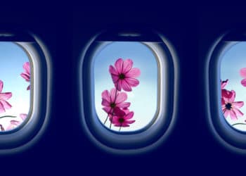 Cargo in bloom: Trends and challenges of flower logistics