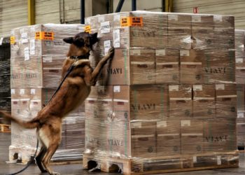 WFS, Diagnose partner to detect undeclared lithium batteries using dog detection teams (Photo/WFS)